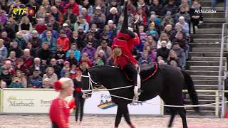 Vorbereitungen für Marbacher Hengstparade laufen auf Hochtouren [upl. by Brenza]