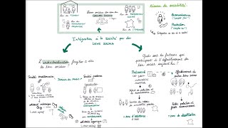 Liens sociaux  Première SES [upl. by Rettig]