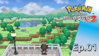 VOLVEMOS A TESELIA POKEMON BLANCO 2 Cutrigameplay sin comentarios [upl. by Spears]