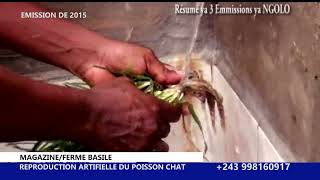 COMMENT AVOIR 60000 POISSONS CHAT EN 3 JOURS  PARTIE 2 INJECTION HYPOPHYSE ET EXTRATION DOEUFS [upl. by Anirda]