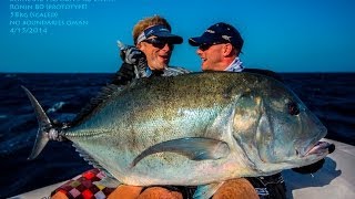 Temple Reef Ronin 80 Tested in S Oman  58kg GT [upl. by Ellesij]