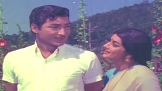 Kalyana Mandapam Movie Songs  Piliche Varunte Palikenu  Shoban Babu  Kanchana  TVNXT [upl. by Cirtemed327]