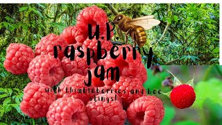 How to Make Raspberry Jam Canning Tutorial [upl. by Nnaillek943]