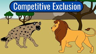 The Competitive Exclusion Principle [upl. by Adnerol]