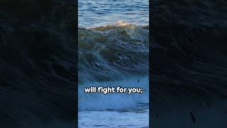 🕊️The Lord Will Fight for You Exodus 1414 bibleverse scripture faith love god hope [upl. by Mackoff]