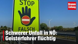 Schwerer Unfall in NÖ Geisterfahrer flüchtig  kronetv NEWS [upl. by Atillertse785]