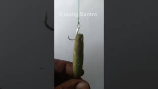 Tips Pasang Kail Pancibg Umpan Silicon SOFT LURE  Treble Hooks fishing umpanjitu lure [upl. by Aicul504]