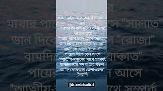 যখন মাইয়াতকে কবরে শোয়ানো হয় এরপরporokaler jibonwazislamic wazsad subscribe shorts like [upl. by Mozart32]