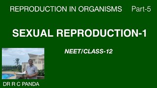 SEXUAL REPRODUCTION1  REPRODUCTION IN ORGANISMS PART5  NEET  CLASS12  Dr Ramesh Panda [upl. by Savitt]