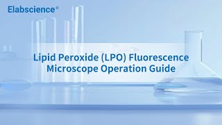 Lipid Peroxide LPO Fluorescence Microscope Operation Guide [upl. by Smaj160]