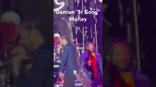 Damian quotJr Gongquot Marley ft Stephen quotRaggaquot Marley  quotPimpas Paradisequot  LIVE [upl. by Ronalda]