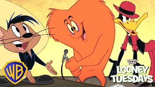 Looney Tunes en Latino  Looney Talent 🤪  WBKidsLatino [upl. by Naraa]