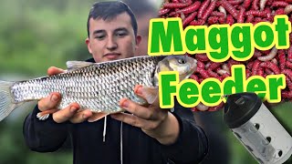 Fishing with Maggot Feeder [upl. by Ecnatsnoc]