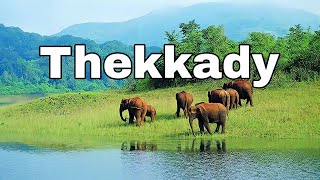 Thekkady tourist place Tamil  place to visitthekkady  Travel Torusim Tourism short travelvlog [upl. by Nomae822]