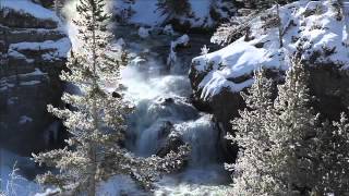 A Winter Yellowstone Tour From Tauck [upl. by Elvis526]