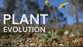 Plant Evolution [upl. by Odo]