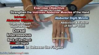 Finger Exercises Dorsal Interosseous amp Abductor Digiiti Minimi Exercise [upl. by Undis]