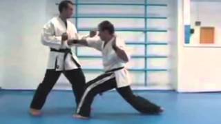 KARATE JITSU ESPAÑA DEPORTIVO SHAOLIN [upl. by Leggat800]