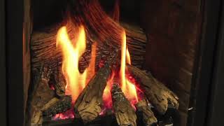 Q1 Gas Fireplace and Fireplace Insert Burn Example [upl. by Ecinnej]