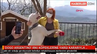 SPİKER MİKROFONU DOGOARGENTINO ESCOBAR’A UZATTI [upl. by Berthold536]