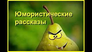 Юмористические рассказы Часть 16 Аудиокнига [upl. by Yntrok]