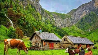 Switzerland Countryside  Relaxing walk in Switzerlands most beautiful villages  rain ambience [upl. by Nhtanhoj]