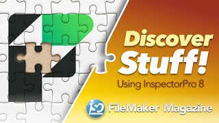 Finding FileMaker Problems  Leveraging Inspector Pro 8 [upl. by Hobbs]