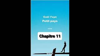 11  Petit Pays  Gael Faye  aide à la lecture  Chapitre 11 [upl. by Asare]