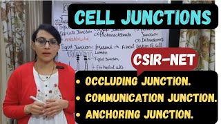 Cell Junctions Junctional complexes  Gap Junction Tight Junction Desmosomes Hemidesmosomes [upl. by Pussej]