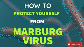 How to protect yourself from Marburg virus disease [upl. by Adnwahsar149]