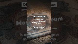 Discover ancient wonders at Gazianteps Zeugma Mosaic Museum one of the largest globally [upl. by Arin]