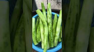 Luffa Gourd Soup With Ribs Bone Pork So Tasty [upl. by Patin]