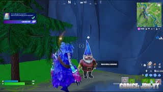 Fortnite Dove Trovare Tutti Gli Gnomi Nascosti [upl. by Dnalel]