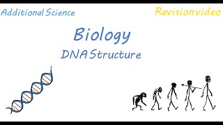 B2 DNA Structure Revision [upl. by Ettesus210]