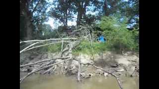 OLD CABIN ON THE HATCHIE RIVER [upl. by Whiney165]