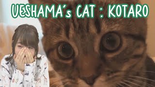 Ueda Reina getting Excited Over Her Cats Video [upl. by Yetak824]