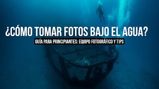 Tutorial para tomar fotografías bajo el agua con equipo profesional foto acuática [upl. by Annerol]