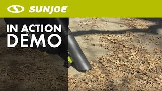 iONBV  Sun Joe iON Cordless 3in1 BlowerVacuumMulcher w Brushless Motor  Live Demo [upl. by Ferriter]