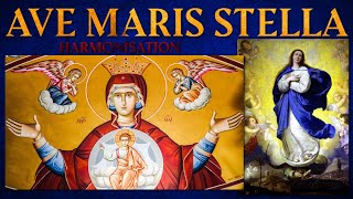 Ave Maris Stella Latin Marian Hymn Harmonisation  Motivation with Reality [upl. by Duffie]