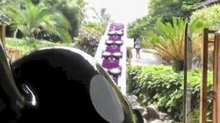 Orca  Loro Parque Tenerife OnRide [upl. by Keynes]