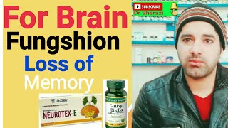 Ginkgo Biloba homeopathic Medicine  Ginkgo Biloba for memory loss medicine explain in hindi urdu [upl. by Novahs]