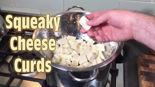 How to Make Squeaky Cheese Curds [upl. by Nagiem]