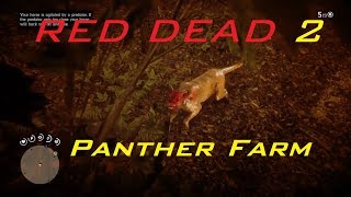 Red Dead Redemption 2  Easy Panther Farm [upl. by Ahsitauq735]