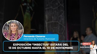 Exposición quotInsectusquot estará del 13 de octubre hasta el 10 de noviembre  EN CONTACTO [upl. by Ditmore]