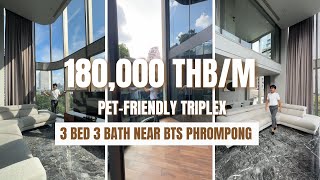 Pet friendly Triplex 159 SQM 3 bed in Phrompong [upl. by Adnoek288]