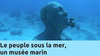 Le peuple sous la mer un musée marin  Thalassa Documentaire [upl. by Binette]