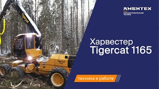 Харвестер Tigercat 1165  KESLA 27RHII [upl. by Kempe364]