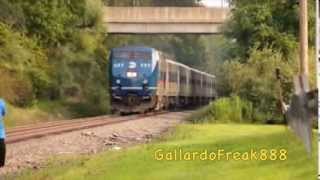 Wassaic Branch Station Hopping [upl. by Neras]