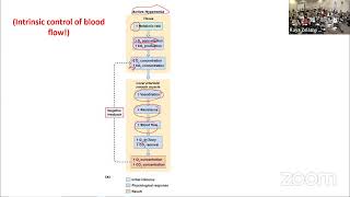 AampP Lecture  Arteries amp Arterioles [upl. by Nered]