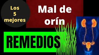 LOS 5 MEJORES REMEDIOS PARA EL MAL DE ORÍN [upl. by Eleni]